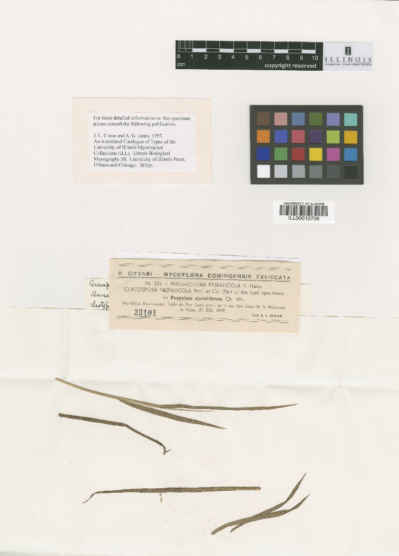 Cercospora paspalicola image