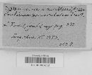 Craterium minutum image