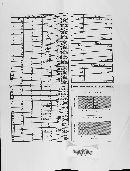 Ascitendus austriacus image