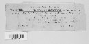 Uromyces lineolatus image