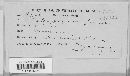 Coleosporium ipomoeae image