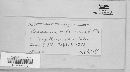 Doassansiopsis deformans image