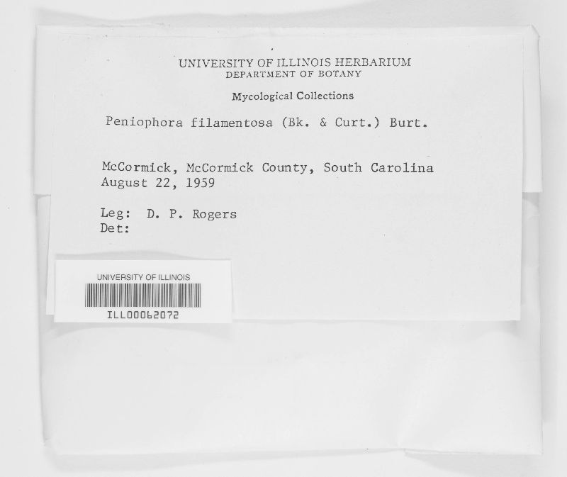 Rhizochaete filamentosa image
