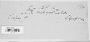 Puccinia menthae image