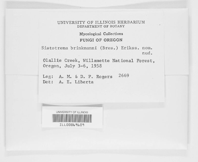 Sistotrema brinkmannii image