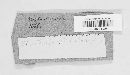 Uromyces appendiculatus image