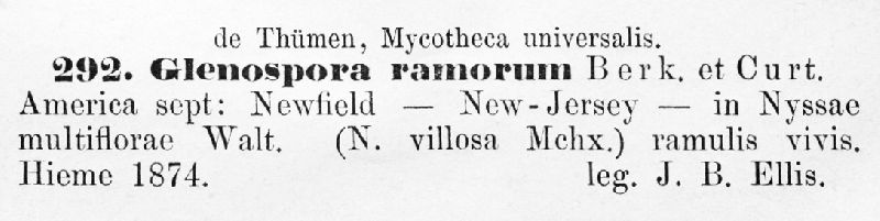 Glenospora ramorum image