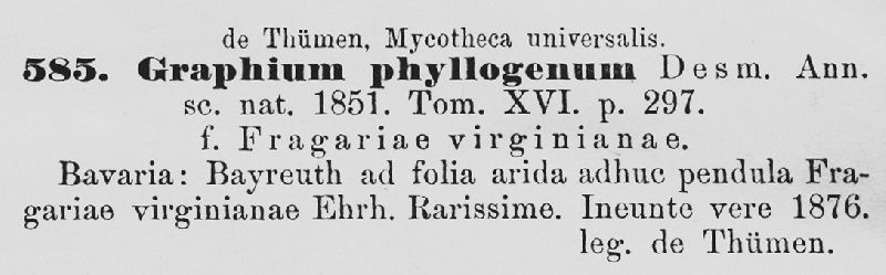 Graphium phyllogenum image