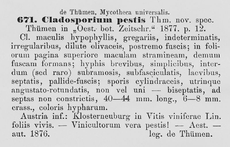 Cladosporium pestis image