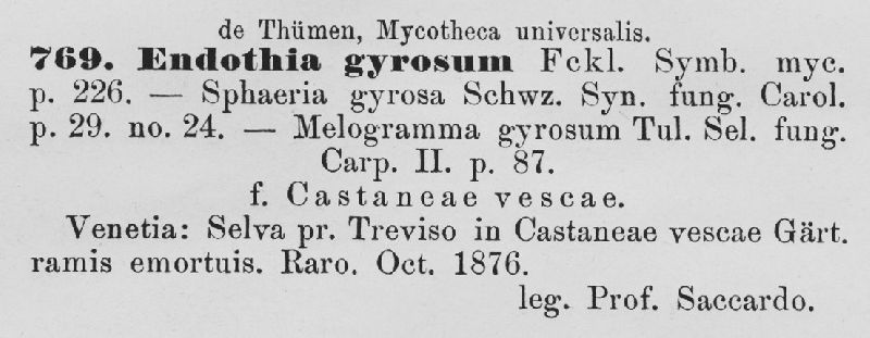 Endothia gyrosum image