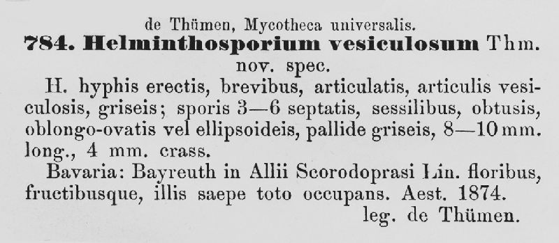 Helminthosporium vesiculosum image