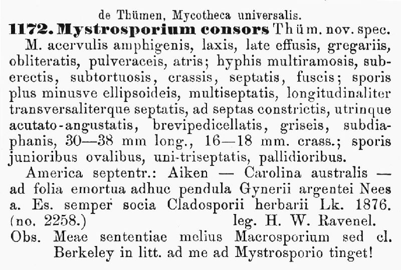 Mystrosporium consors image