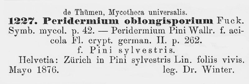 Peridermium oblongisporium image