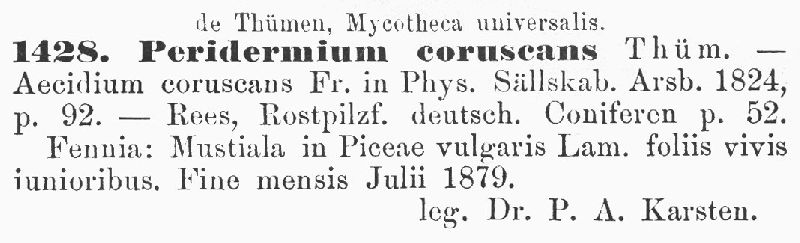 Peridermium corruscans image