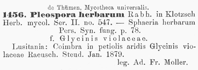 Pleospora herbarum image