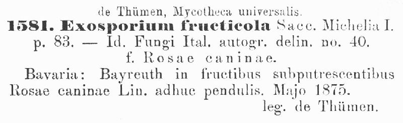 Exosporium fructicola image