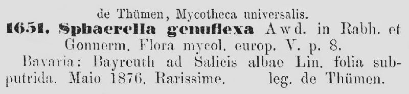 Mycosphaerella genuflexa image