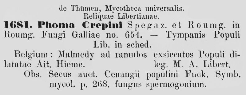 Phoma crepini image
