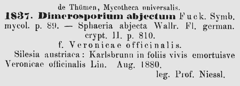 Dimerosporium abjectum image