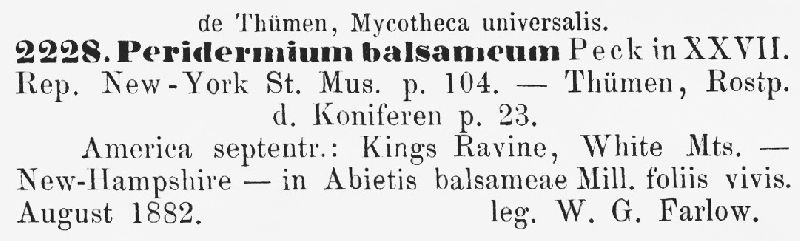 Peridermium balsameum image