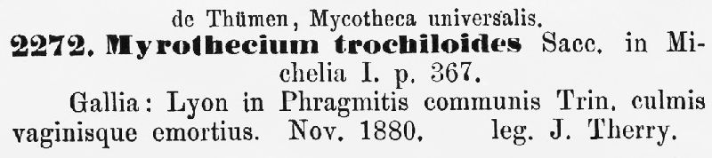 Myrothecium trochiloides image