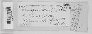 Phloeospora ulmi image