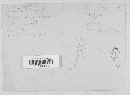 Phoma destructiva image