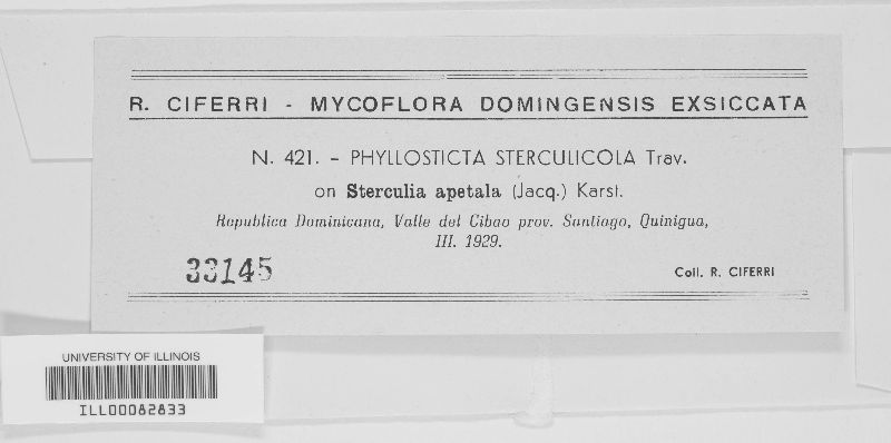 Phyllosticta sterculicola image