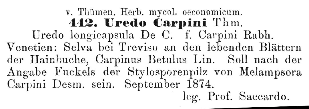 Uredo carpini image