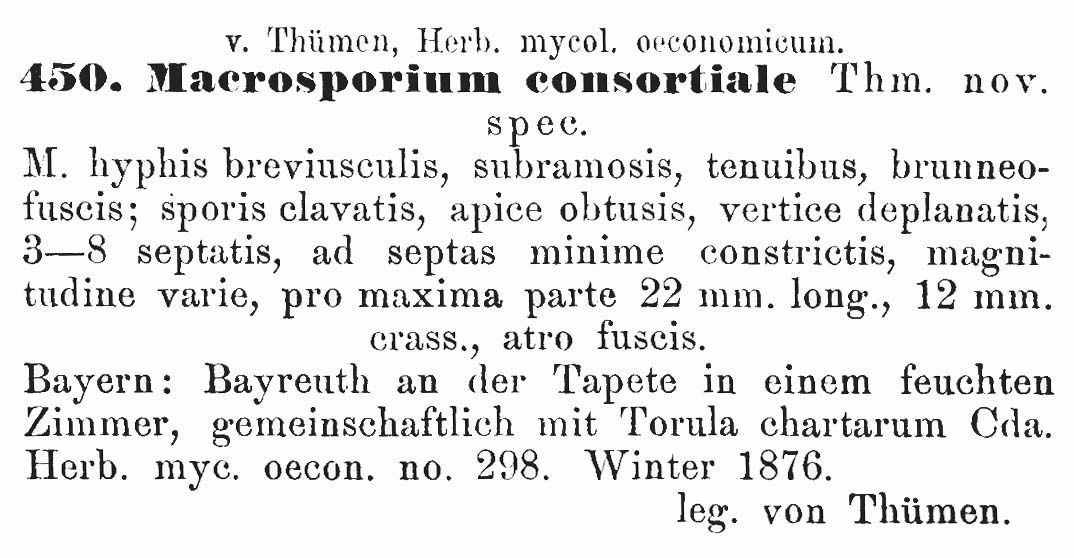 Ulocladium consortiale image