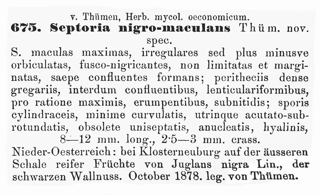 Septoria nigromaculans image