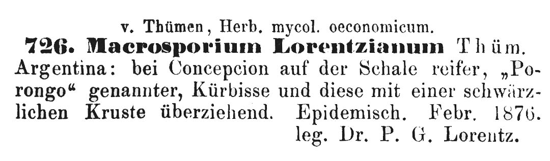 Macrosporium lorentzianum image