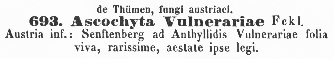 Ascochyta vulnerariae image