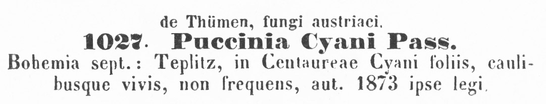 Puccinia cyani image