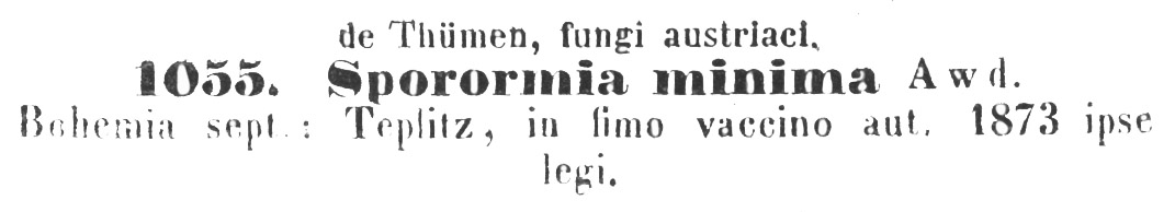 Sporormia image