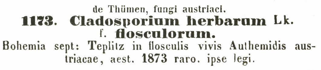 Cladosporium herbarum image