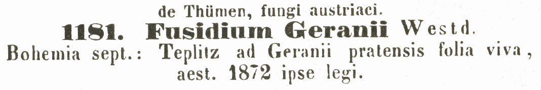 Fusidium geranii image