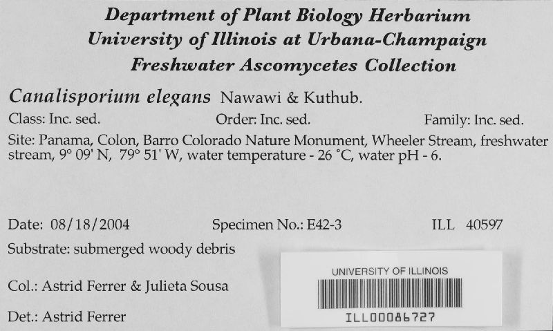 Canalisporium elegans image