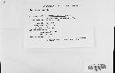 Claviceps purpurea image