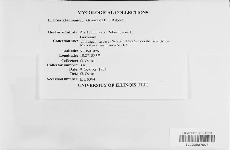 Coleroa chaetomium image