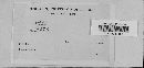 Gibberella zeae image