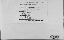 Gibberella zeae image