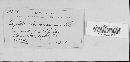 Golovinomyces cichoracearum image