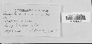 Golovinomyces cichoracearum image