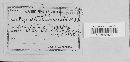 Erysiphe polygoni image