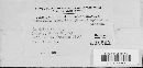 Glomerella cingulata image