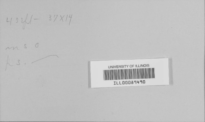 Irenopsis image