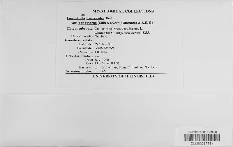 Lophiotrema image