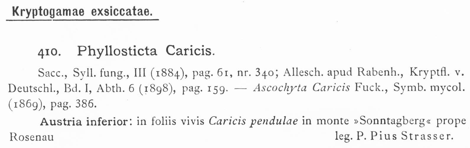 Phyllosticta caricis image