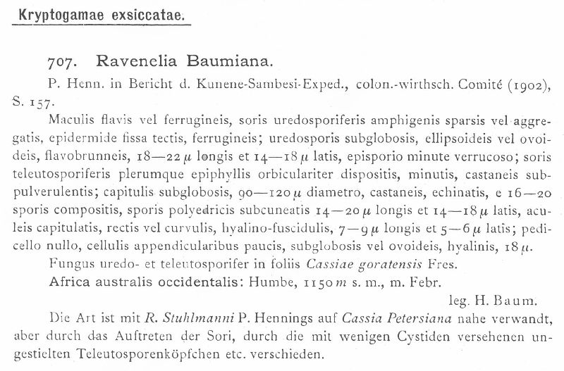 Ravenelia baumiana image